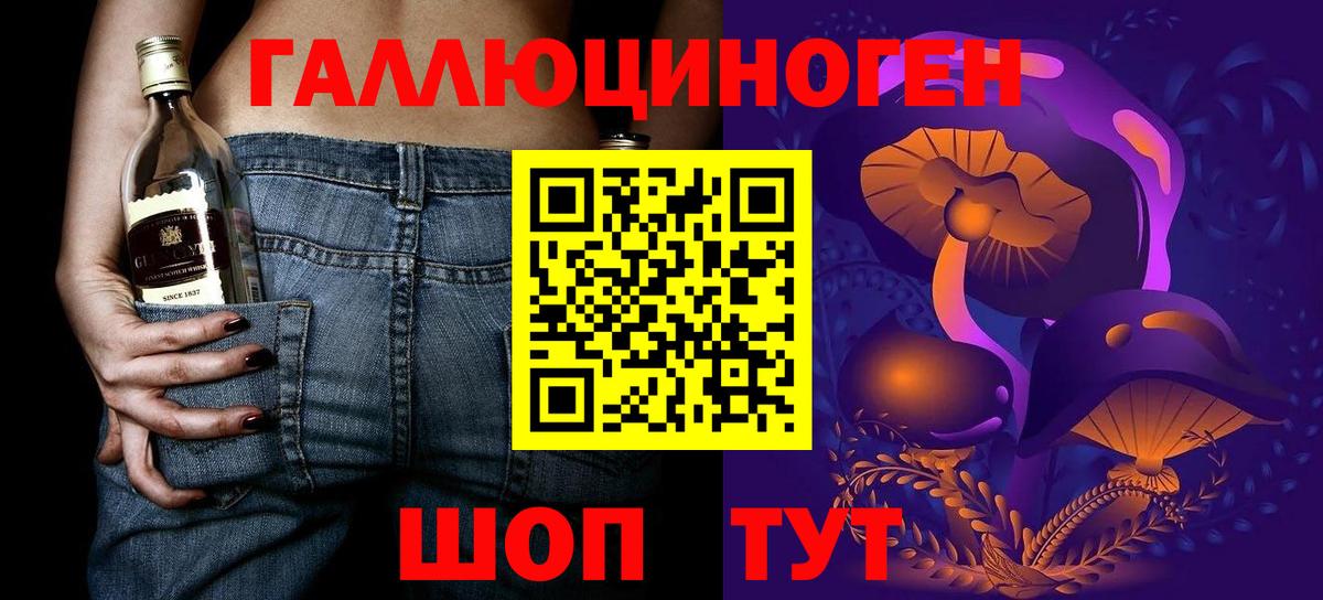 Корсаков  Галлюциногенные грибы Cubensis  Вход с VPN 