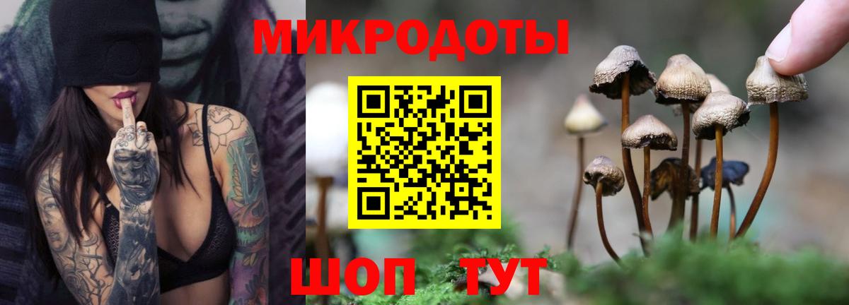 Псилоцибиновые грибы Psilocybine cubensis Корсаков